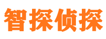 集安出轨调查